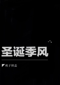 圣诞季玩偶小物