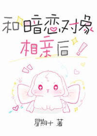 和暗恋对象结婚父子相认